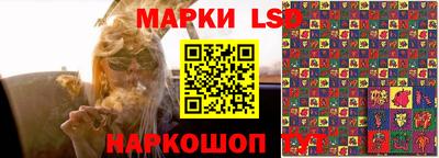 гашик Славгород