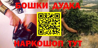 крисы Сланцы