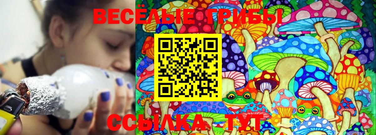 Черногорск  Галлюциногенные грибы Cubensis  продажа наркотиков  Вход с VPN 